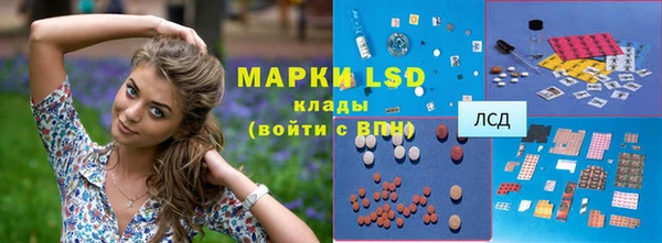 шишки Беломорск