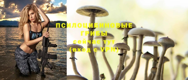шишки Беломорск